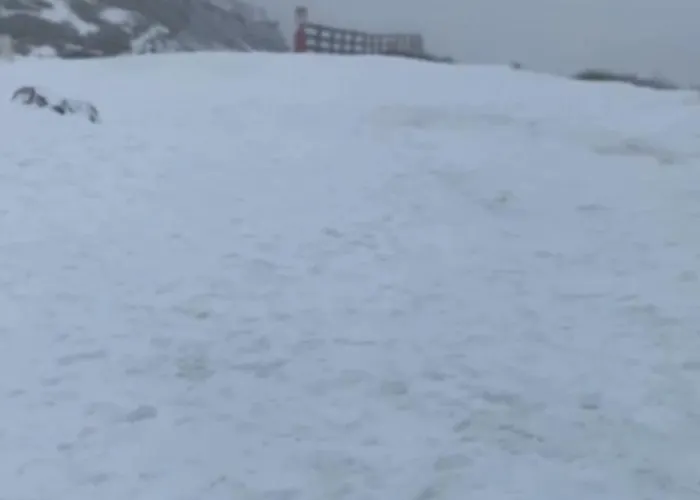 Saint Moritz Premium شقة