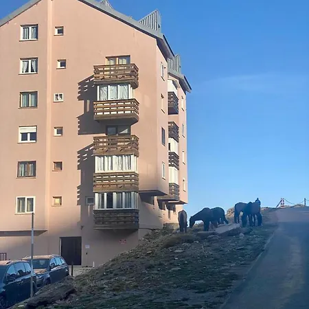 Saint Moritz Premium Apartment Sierra Nevada