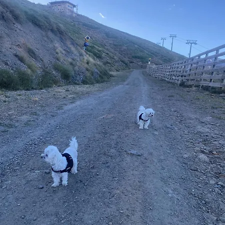 Lägenhet Saint Moritz Premium *