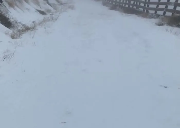 Saint Moritz Premium * Sierra Nevada