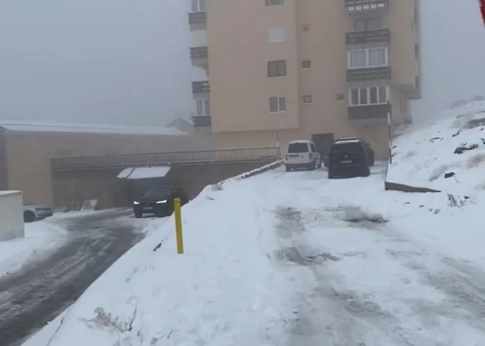 Saint Moritz Premium