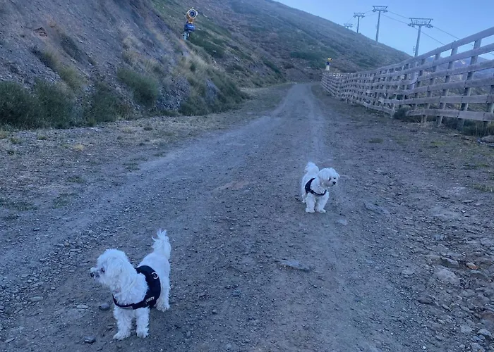 公寓 Saint Moritz Premium *