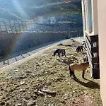 Apartment Saint Moritz Premium *