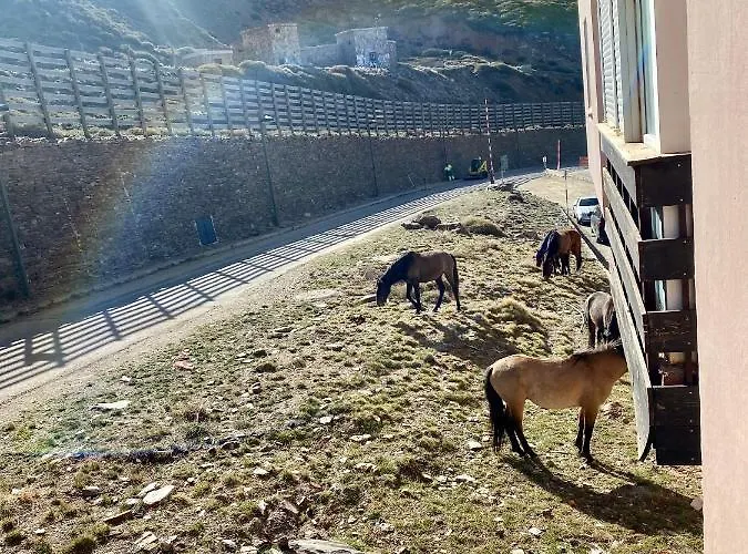 아파트 Saint Moritz Premium *