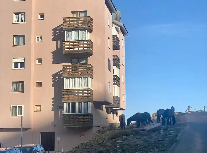 Saint Moritz Premium 아파트 시에라네바다